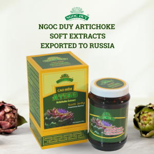 NGOC DUY ARTICHOKE  SOFT EXTRACTS
